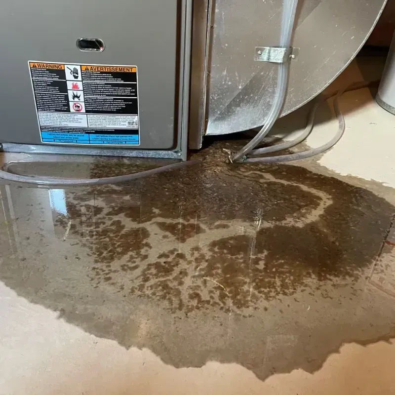 Appliance Leak Cleanup in Coal City, IL